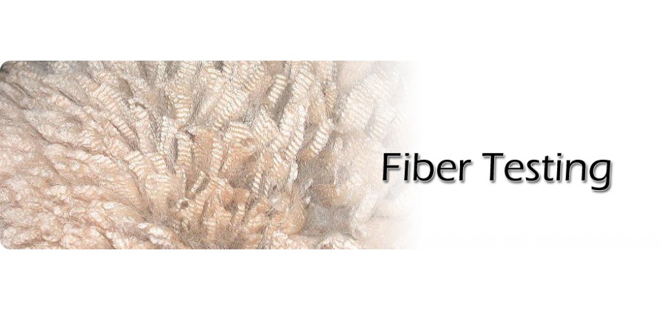 fiber testing