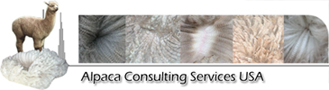 Alpaca Consulting Services USA 